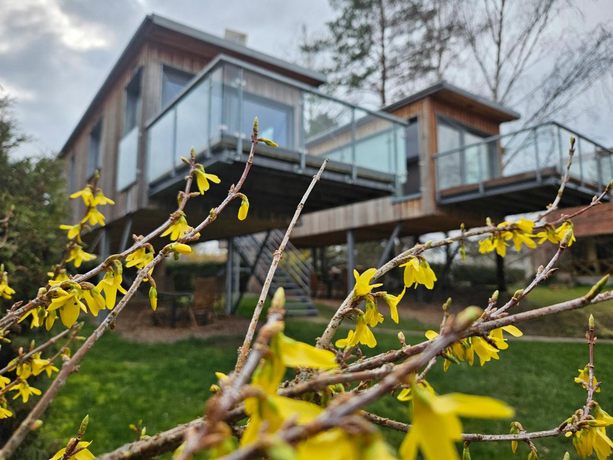 Вілла Baumhaus Und Tinyhaus Мюльгаузен Екстер'єр фото