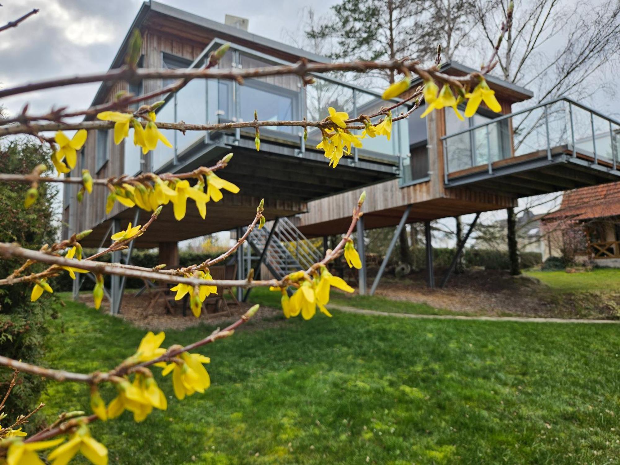 Вілла Baumhaus Und Tinyhaus Мюльгаузен Екстер'єр фото